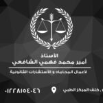 الأستاذ / أمير الشافعي